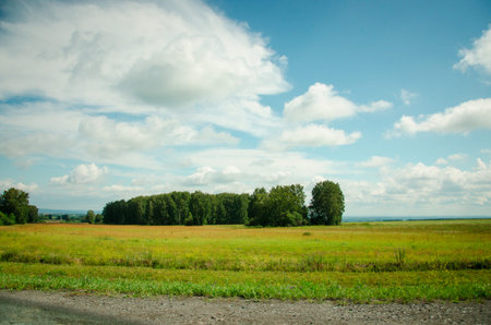 Nature of Russia: forests, meadows