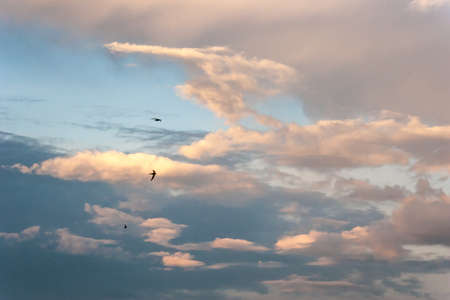 Blue sky with golden clouds at sunset. Natural backgroundの写真素材