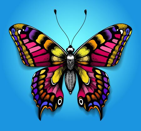 Beautiful tattoo for your chest. Bright colorful butterfly on blue background. Tropical realistic Machaon butterfly. Female symbolのイラスト素材