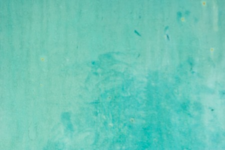 Turquoise background blur. Unevenly colored wall.Shabby wallの写真素材