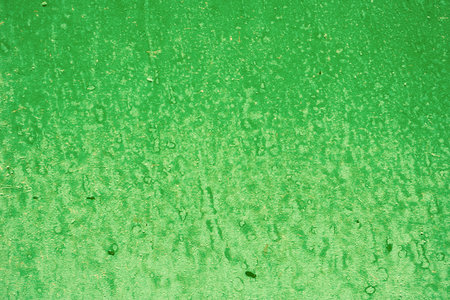 Green background with paint spots. Green painted wall texture Acrylic painted surface. Green...