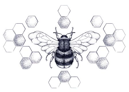 Honey bee surrounded by pattern of honeycombsのイラスト素材