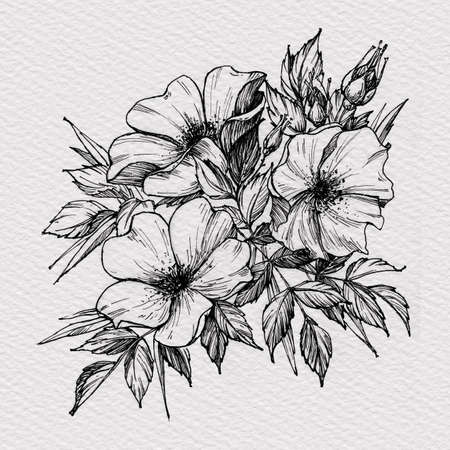 Tattoo branch of flowers. Branch of blooming dog rose. Floral illustration for tattoo, t-shirt design. Tattoo for forearm, thigh, back. Illustration on watercolor paper with textureの写真素材