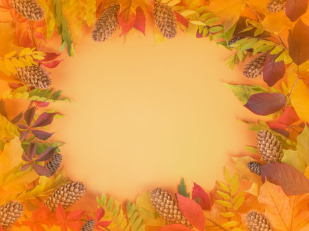Fall Leaves and Pine Cones on Autumn Background