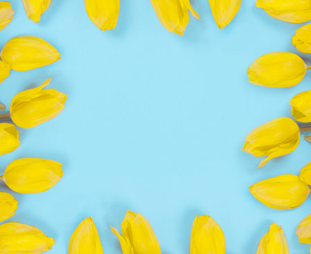 Yellow Tulip Flowers on Blue Background, copy space, flat lay