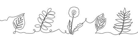 Set of continuous one line drawing of a flowers and leaves. Plants isolated on a white background. Vector illustration, eps10のイラスト素材