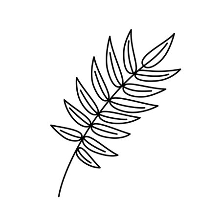 Silhouette of a fern branch. Stylization. Simple graphic outline style. Isolated illustration, can be used as a stencil for organic design. Vector illustrationのイラスト素材
