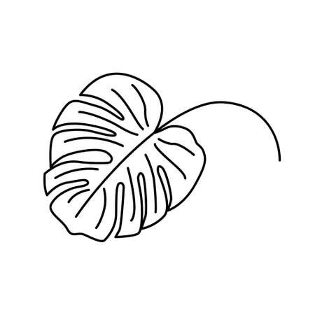 Clip art of the Monstera leaf. Stylized silhouette. Simple graphic outline style. Isolated illustration, can be used as a element for organic design. Vector illustrationのイラスト素材