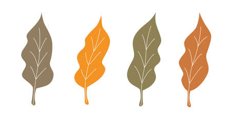 Set of colorful autumn leaves. Isolated Vector illustration, EPS 10のイラスト素材
