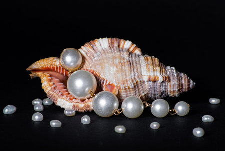 Sea shell with pearls on black backgroundの写真素材