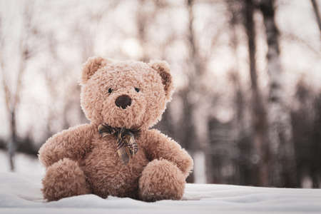The toy bear was left in the winter at the children's playgroundの写真素材