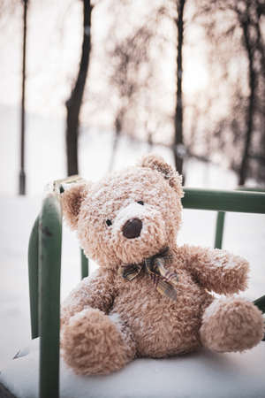 The toy bear was left in the winter at the children's playgroundの写真素材