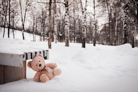 The toy bear was left in the winter at the children's playground