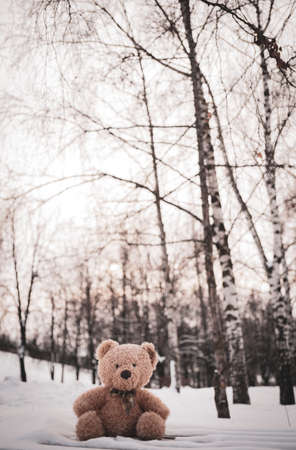 The toy bear was left in the winter at the children's playgroundの写真素材