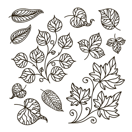 contour illustration, coloring book, branch, set, leaves, summer, forest, nature, tree, black and white illustration, abstraction, design elementのイラスト素材
