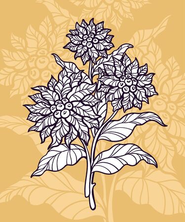 Hand-drawing flower with the background. Design element. Vector illustrationのイラスト素材
