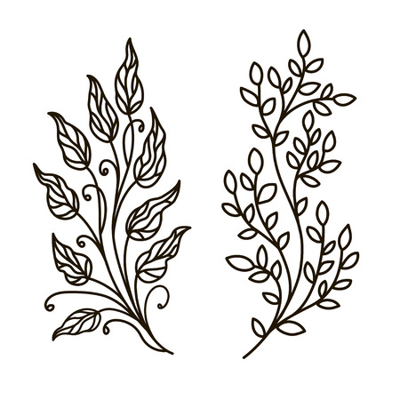 vector, contour illustration, coloring book, branch, set,  leaves, summer, forest, nature, tree, plant, black and white illustration, abstraction, design elementのイラスト素材