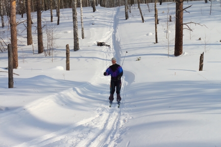 The man is engaged in skiing in the woodの写真素材