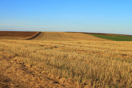 Autumn fields against the blue skyの写真素材