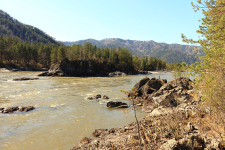 The rocky island with trees in the middle of the mountain riverの写真素材