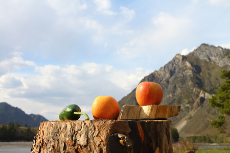 Apples and cucumber are on a stump outdoorsの写真素材