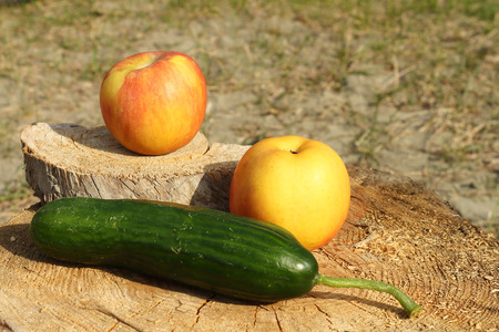 Apples and cucumber are on a wooden support outdoorsの写真素材