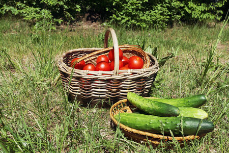 Vegetables in wattled baskets on a grass outdoorsの写真素材