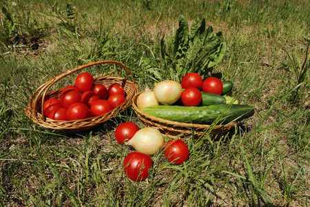 Vegetables in wattled baskets on a grass outdoorsの写真素材