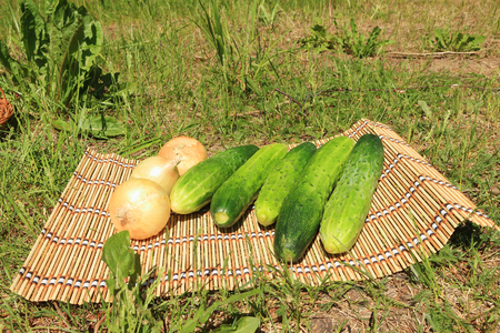 Cucumbers and onions are on a wattled napkin from straws outdoorsの写真素材
