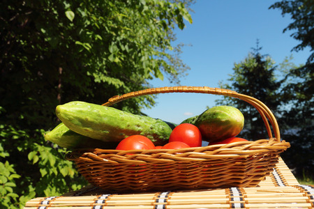 Vegetables and on a little table are in a basket on the river bankの写真素材