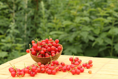 Wattled basket with red currant standing on a table on a lawn