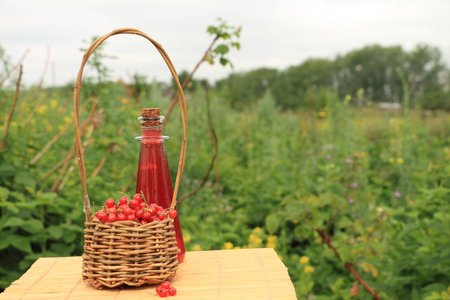 Bottle with red juice and berries of red currant are on a little table outdoors