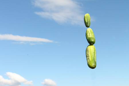 Three green cucumbers against the sky and cloudsの写真素材