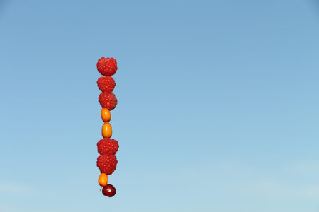 Raspberry and sea-buckthorn berries against the skyの写真素材