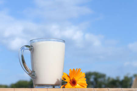 The mug with milk is on a table outdoorsの写真素材