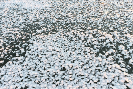 Snow cover of a freakish form on ice of the frozen river, natural backgroundの写真素材