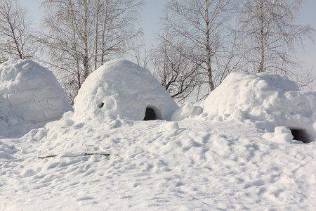 Snow construction an igloo standing on a winter glade