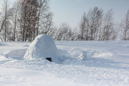 Igloo  standing on a snowy glade  in the winter
