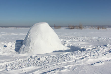Igloo standing on a snowy glade in the winter