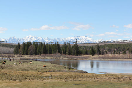 Irkut River, Tunkinskaya Valley, Republic of Buryatia, Russiaの写真素材