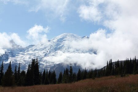 Mount Rainier among clouds and conifers, Cascade Mountains, Washington State, USAの写真素材