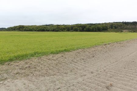 Plowed field on a farm in autumn, Seattle, USAの写真素材