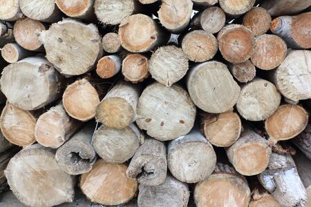 Fence from  tree trunks, natural backgroundの写真素材