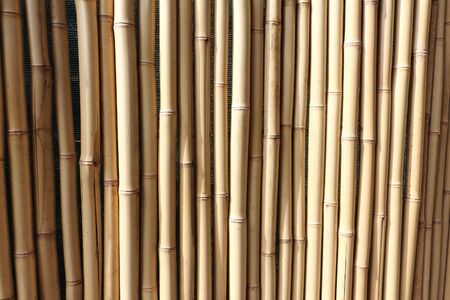 Part of the bamboo fence, natural backgroundの写真素材