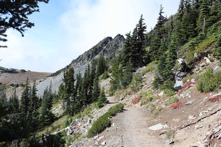 Sunrise Trail  in the park Mount Rainier in the autumn, Washington, USAの写真素材