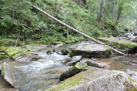 Belokurikha river on a summer day in the resort area of the Belokurikha city, Altai Territory, Russiaの写真素材