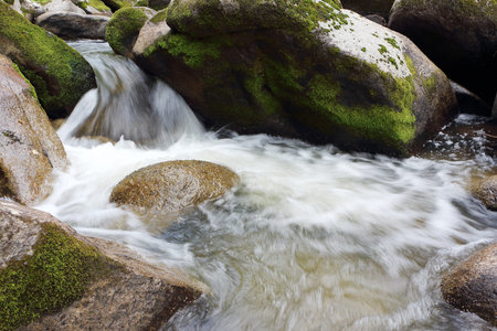 Belokurikha river on a summer day in the resort area of the Belokurikha city, Altai Territory,...