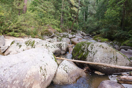 Belokurikha river on a summer day in the resort area of the Belokurikha city, Altai Territory, Russiaの写真素材