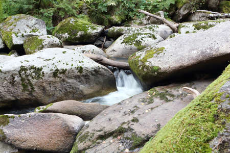 Belokurikha river on a summer day in the resort area of the Belokurikha city, Altai Territory, Russiaの写真素材