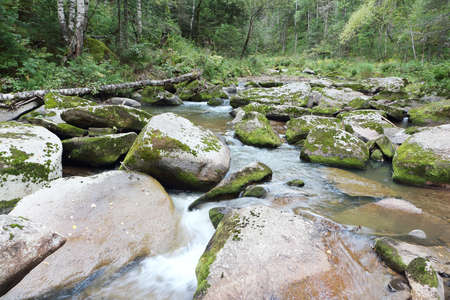 Belokurikha river on a summer day in the resort area of the Belokurikha city, Altai Territory, Russiaの写真素材
